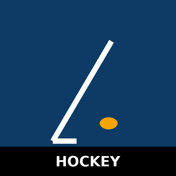 Équipement de hockey - LLP Sports