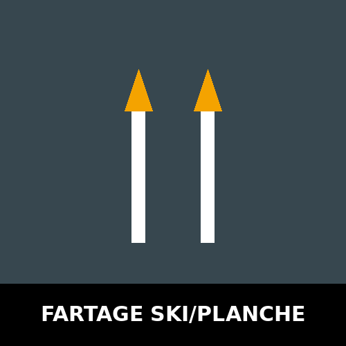 Fartage et cirage de ski et planche à neige